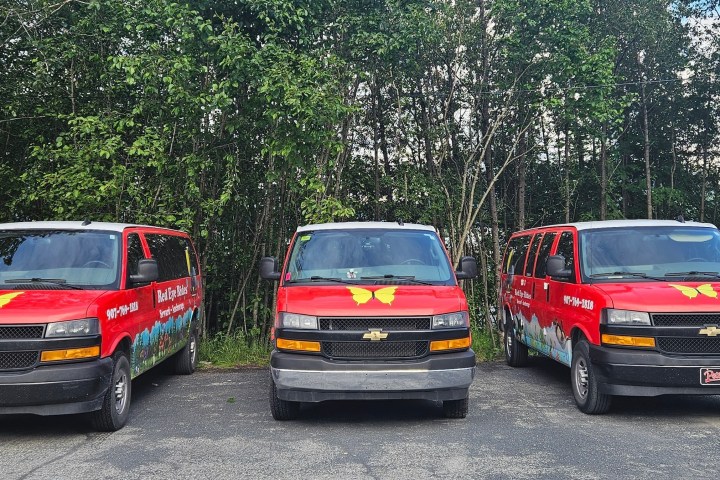Three red vans with butterfly logos parked in front of trees.