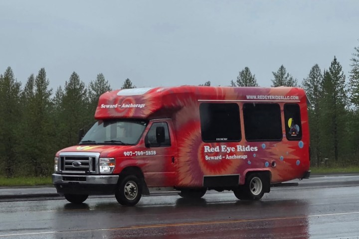 Red tour bus parked on a wet road with trees in the background.