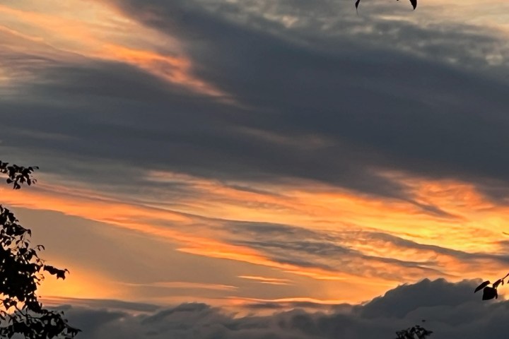 Sunset with orange, yellow, and dark gray clouds, silhouetted leaves in foreground.