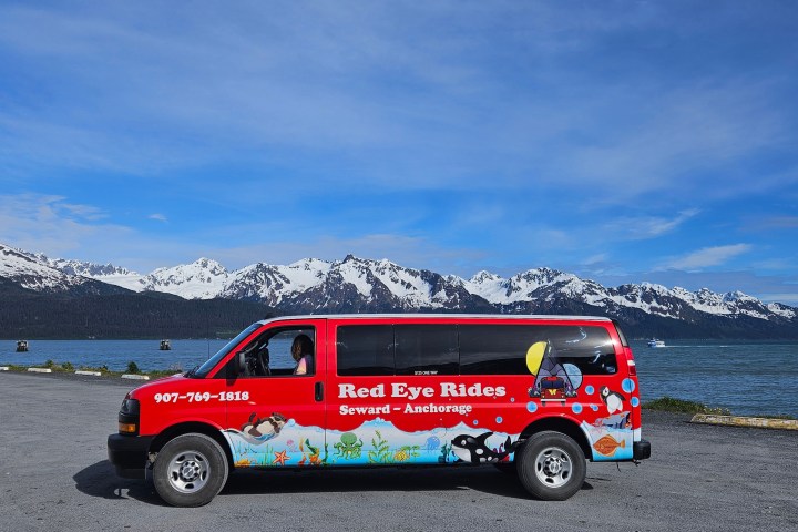 Red van with colorful sea graphics parked by a lake, snowy mountains in the background.