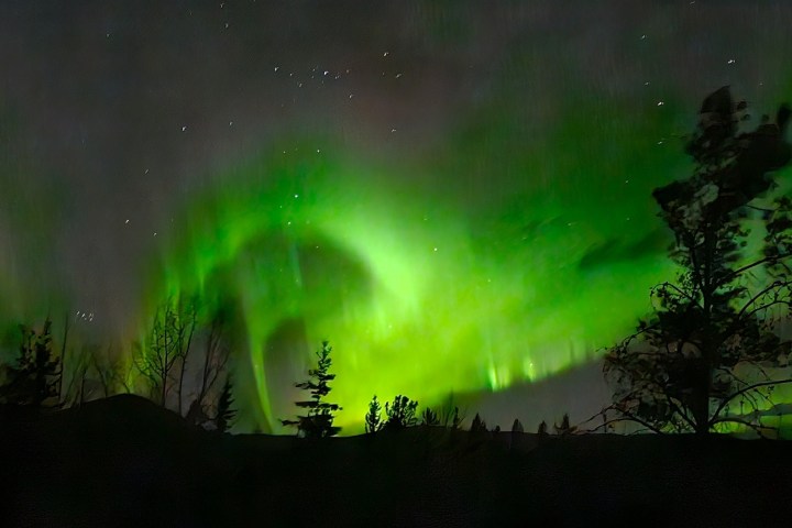 Green aurora borealis over silhouetted trees at night.